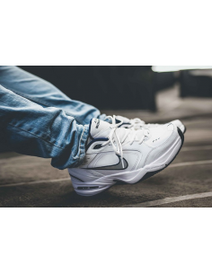 Мужские кроссовки Nike Air Monarch IV 415445-102 2