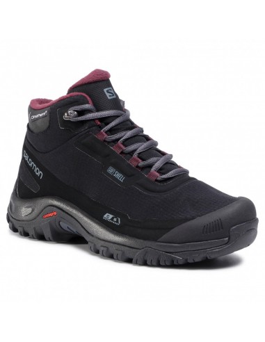 Женские ботинки Salomon Shelter CS WP W 411105