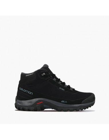 Мужские ботинки Salomon Shelter CS WP 411104