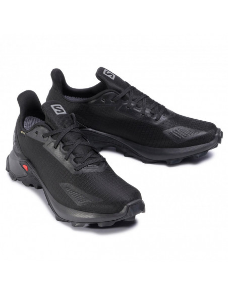 Salomon Alphacross Blast GTX 411053