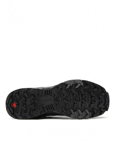 Ботинки Salomon X Ultra 4 Mid GTX 413834