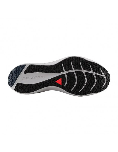 Nike Zoom Winflo 8 Shield DC3727-001