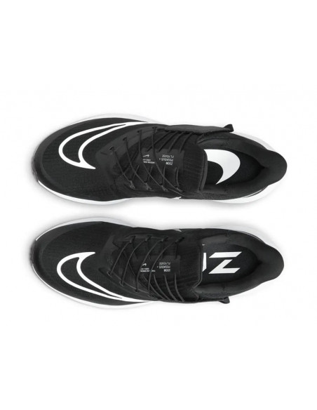Кроссовки Nike Air Zoom Pegasus 39 Flyease DJ7381-001