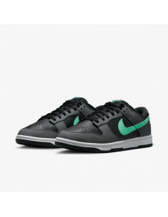 Кроссовки Nike Dunk Low Retro FB3359-001 2